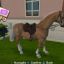 Скачать игру Barbie Horse adventures. Riding camp 0 Скачать игру Barbie Horse adventures. Riding camp 0