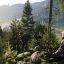 Скачать игру Arma Reforger 1